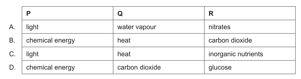 Table presenting four options (A, B, C, D) with corresponding substances for P, Q, and R, which are components of the ecosystem flow diagram.