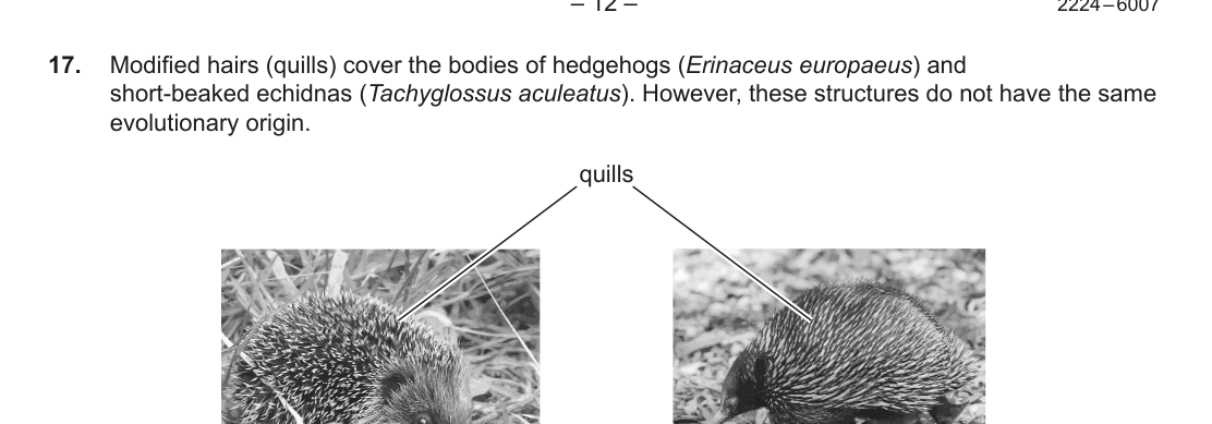 Figure region page 13