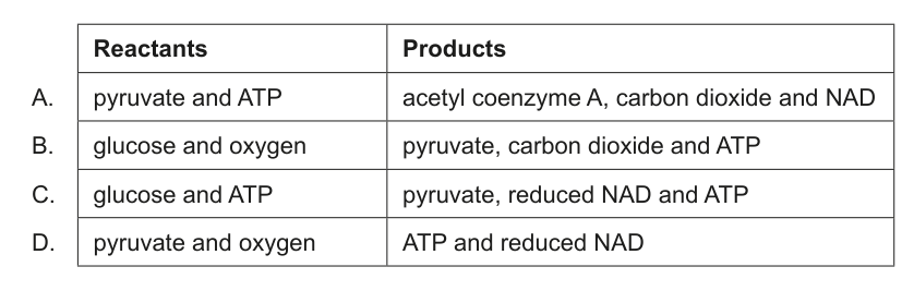 A table with two columns, 'Reactants' and 'Products', presenting four options (A-D) for molecules involved in glycolysis.