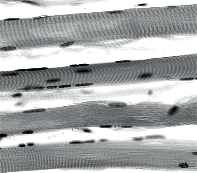 Embedded figure page 3