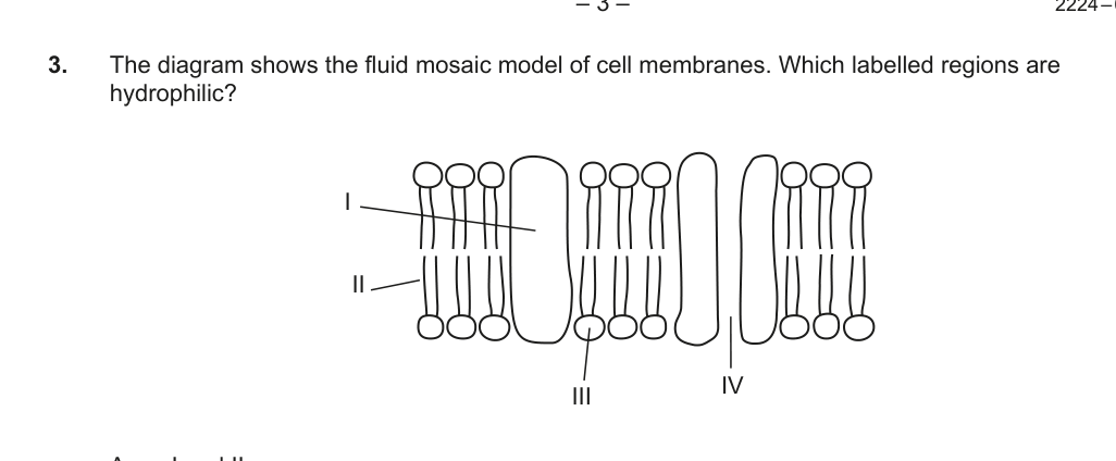 Figure region page 4