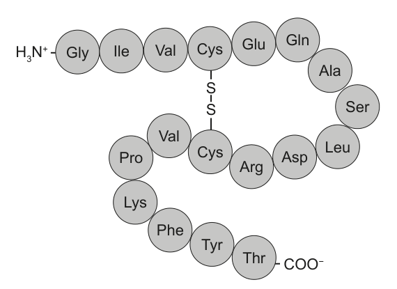 Diagram showing the structure of a peptide with various amino acids arranged in a circular chain, including disulfide bonds.