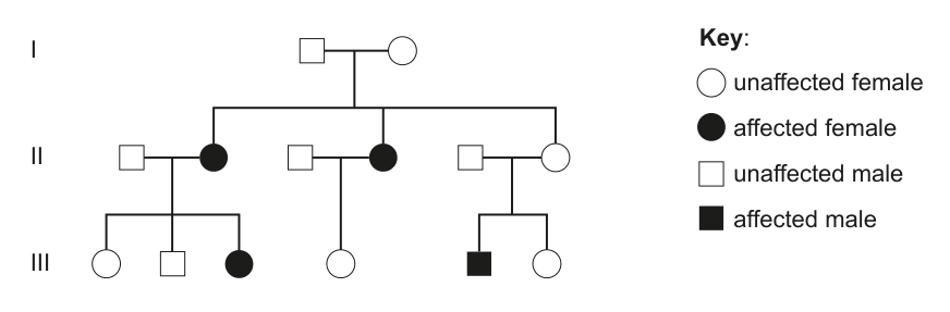 Pedigree chart showing the inheritance of DFNB1 in a family, with a key indicating unaffected/affected females and males. Relevant to question 13.