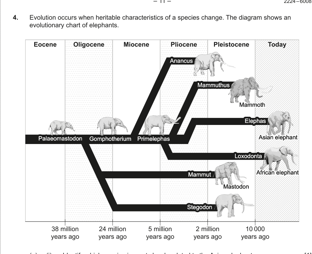 Figure region page 12
