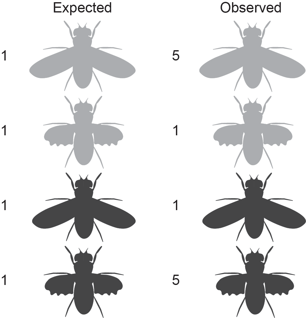 Embedded figure page 15