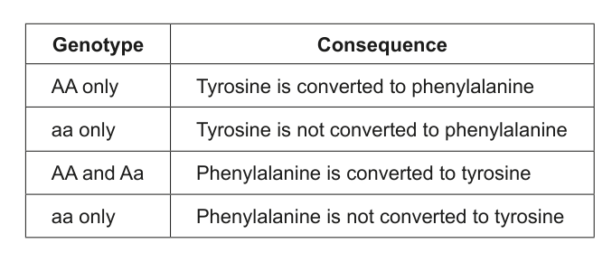 Table showing different genotypes and their consequences related to Phenylketonuria, for Question 32.
