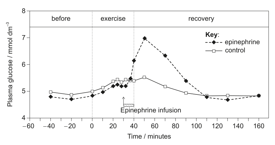 Line graph with two lines, one for epinephrine and one for control, showing plasma glucose concentration (mmol dm^-3) on the y-axis and time (minutes) on the x-axis. The graph is divided into 'before', 'exercise', and 'recovery' phases, with an 'Epinephrine infusion' indicated during the exercise phase.