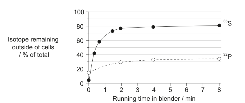 A line graph showing the percentage of 35S and 32P isotopes remaining outside bacterial cells as a function of running time in a blender. The 35S line (solid, filled circles) shows a higher percentage remaining outside cells compared to the 32P line (dashed, open circles).