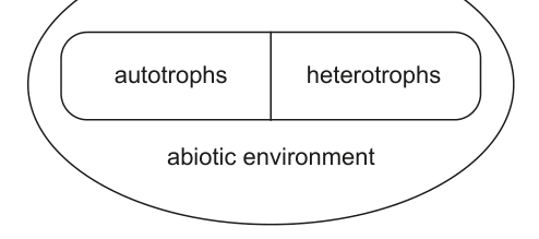 Diagram showing autotrophs and heterotrophs in separate boxes, with 'abiotic environment' below them, all enclosed within a larger oval.