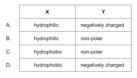 Table presenting four options (A-D) for the properties of parts X and Y of a phospholipid molecule, for question 3.