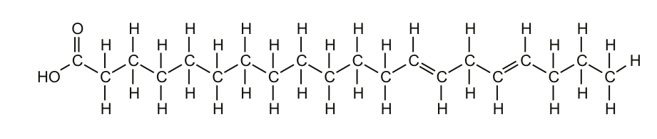Chemical structure of a fatty acid molecule with a carboxyl group and a long hydrocarbon chain containing double bonds.