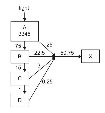 Diagram showing energy flow in kJ m^-2 year^-1 between trophic levels A, B, C, D, and X, starting from light energy.