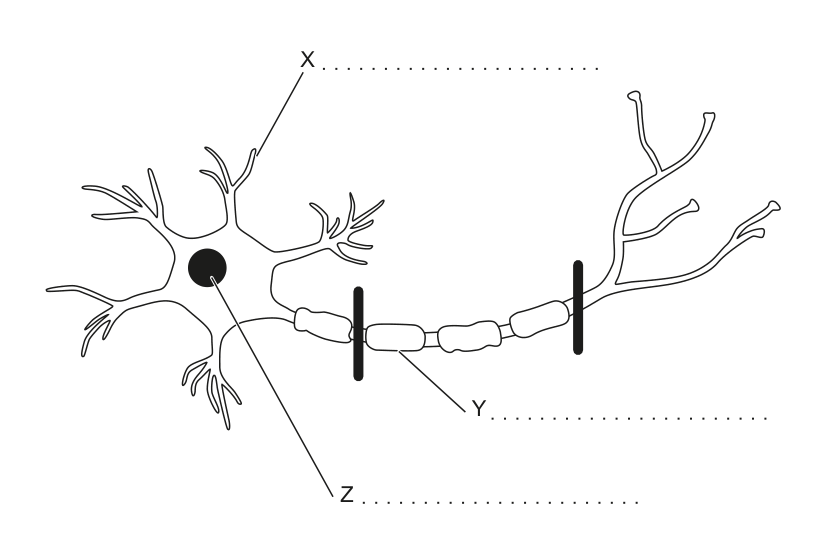 Figure region page 15
