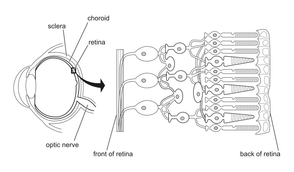 Figure region page 10