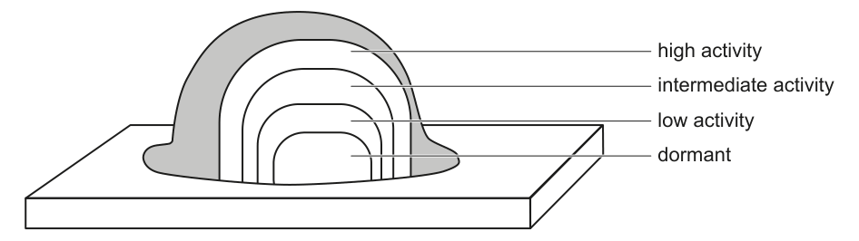 Diagram illustrating a biofilm with different layers representing varying levels of metabolic activity (high, intermediate, low, dormant).