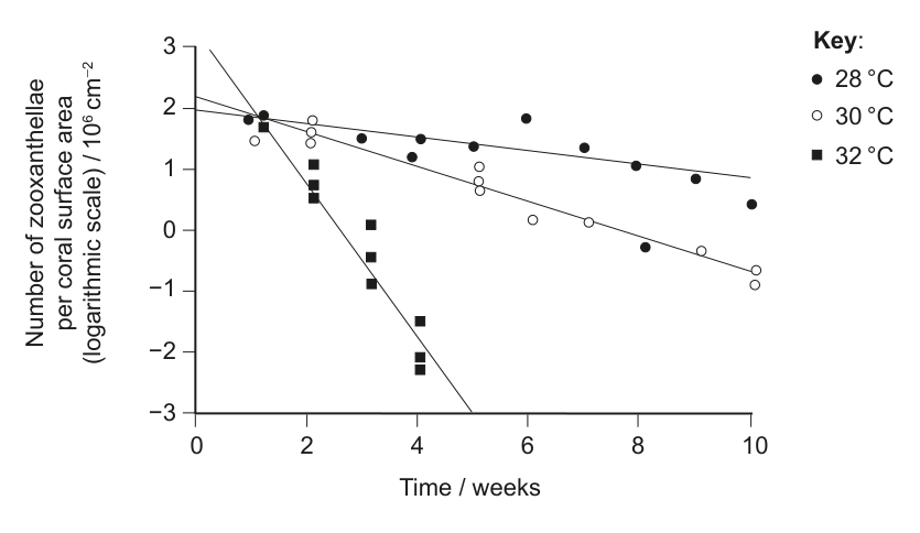 Scattergraph showing the number of zooxanthellae per coral surface area (logarithmic scale) over time (weeks) for three temperature treatments: 28 °C, 30 °C, and 32 °C.