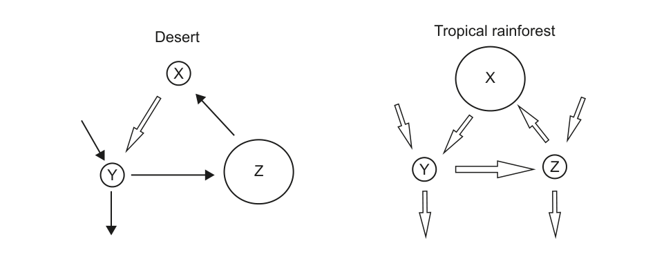 Two Gersmehl diagrams side-by-side, one for 'Desert' and one for 'Tropical rainforest'. Each diagram shows three interconnected circles labeled X, Y, and Z, with arrows indicating nutrient flows between them and to/from outside the system.