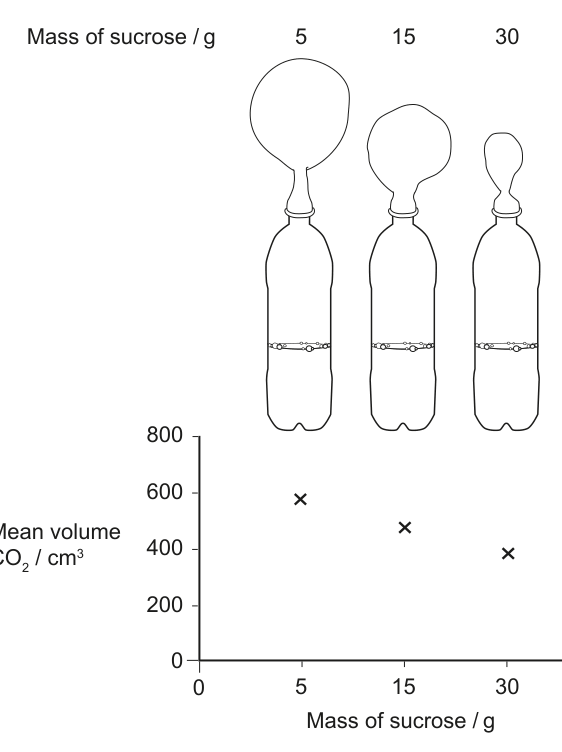 The diagram shows three bottles with balloons attached, representing different masses of sucrose (5g, 15g, 30g). The graph below it plots the mean volume of CO2 produced against the mass of sucrose, showing data points for 5g, 15g, and 30g sucrose.