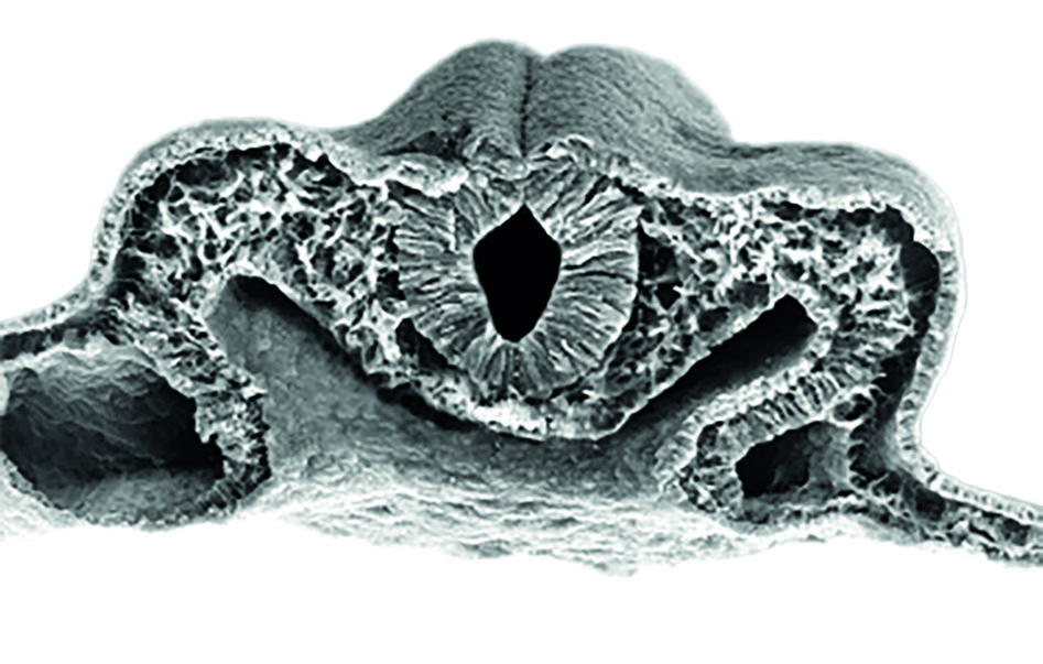 Embedded figure page 9