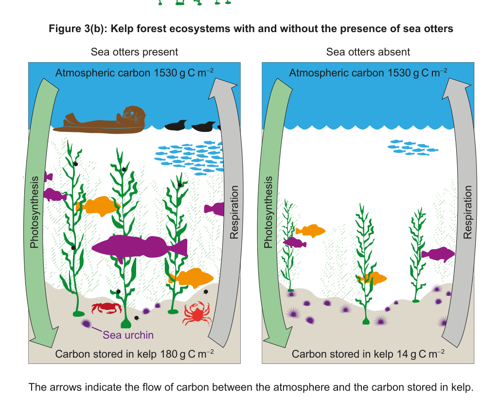 Figure region page 7
