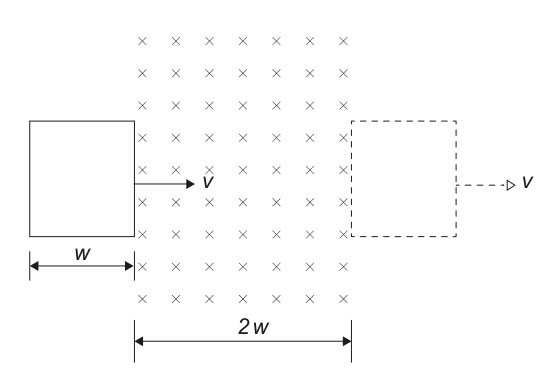 Diagram illustrating a square loop of wire of width 'w' being pulled at a constant velocity 'v' through a magnetic field of width '2w'. The magnetic field is represented by 'x' symbols, indicating it's directed into the page. The loop is shown entering the field, with a dashed outline indicating its position after moving further.