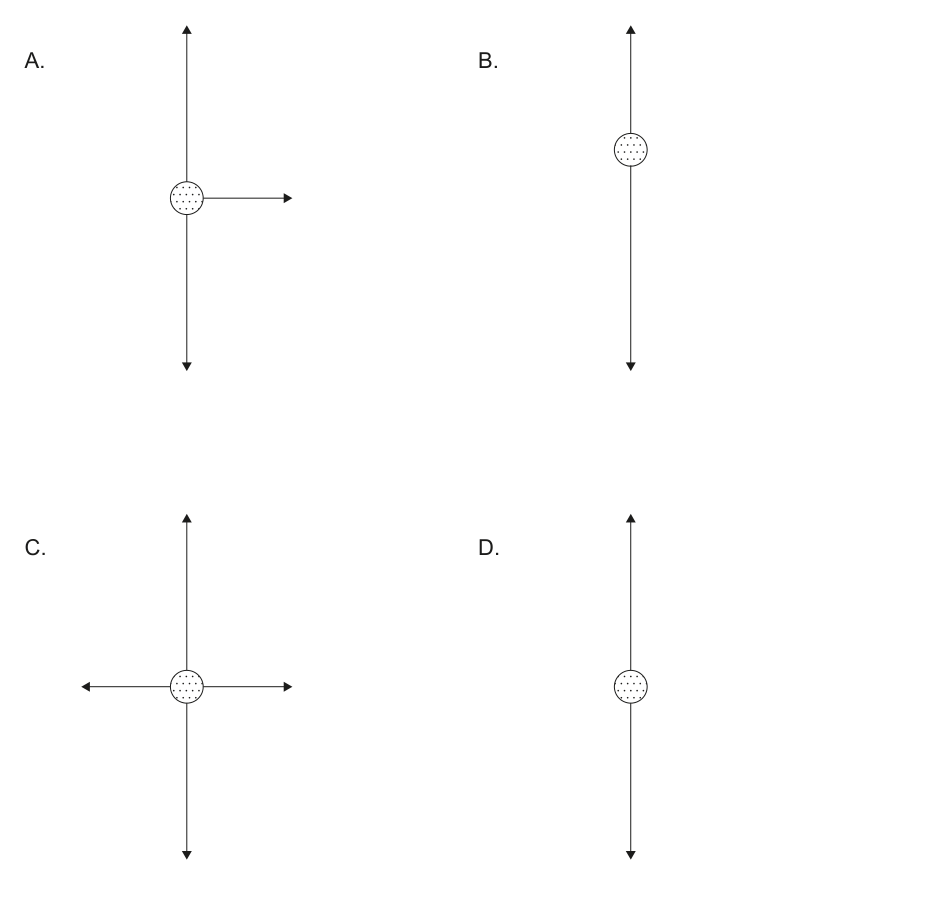 Four free-body diagrams (A, B, C, D) showing forces acting on a ball, each with a central dotted circle representing the ball and various arrows indicating forces. These are the options for Question 5.