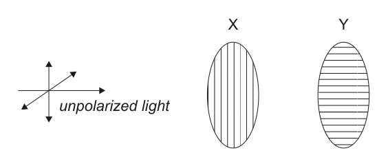Diagram showing unpolarized light incident on two polarizers X and Y. Polarizer X has vertical lines, and polarizer Y has horizontal lines.