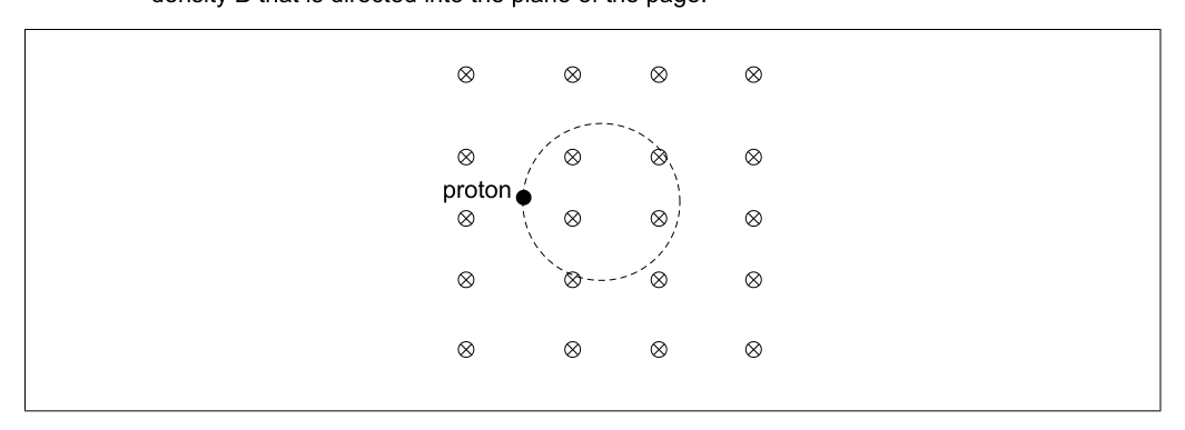 A diagram showing a proton moving in a circular path within a uniform magnetic field, with the field lines directed into the page.